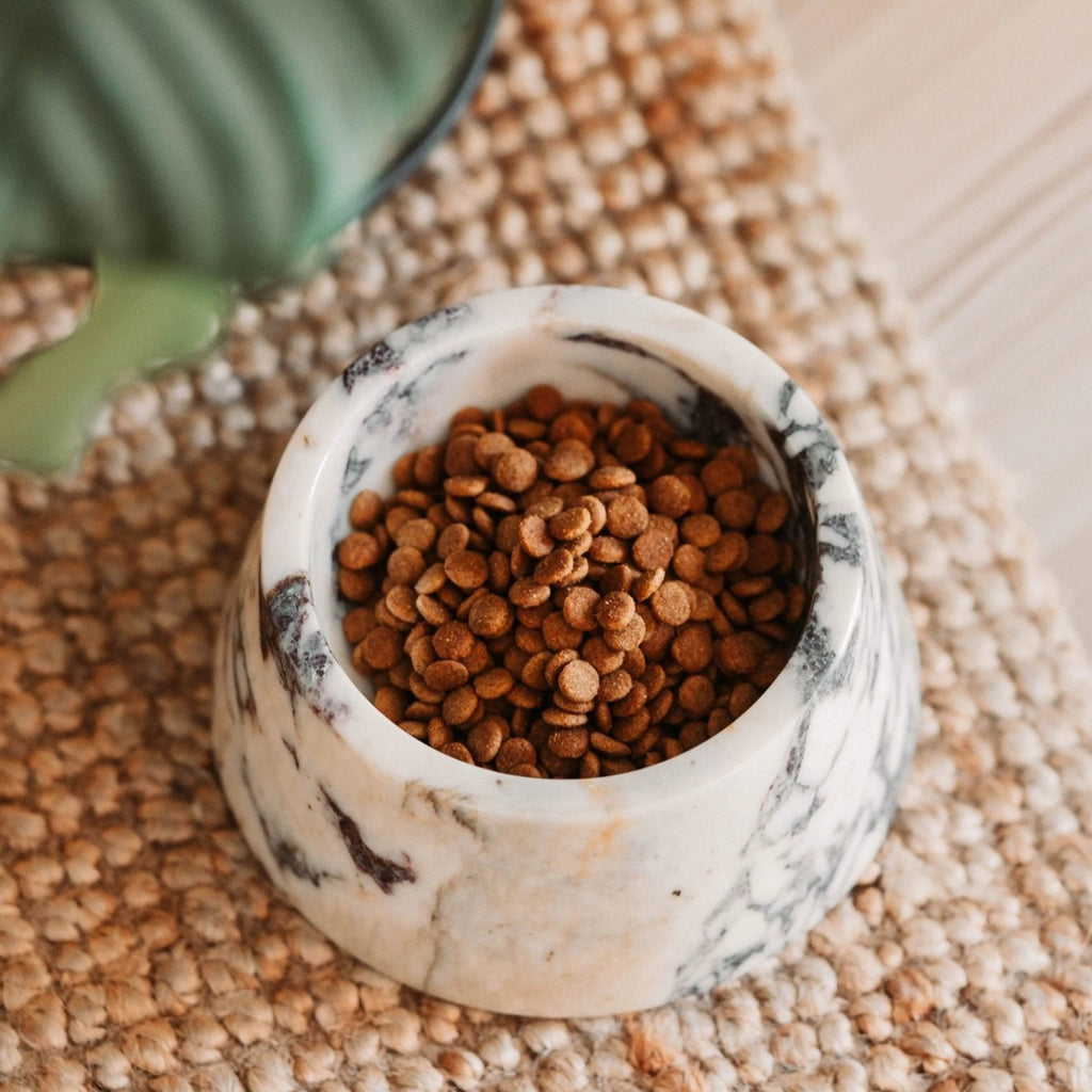 Marbowl Dog Food Bowl | Violet 🥡 - PAW LONDON