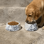 Marbowl Dog Food Bowl | Violet 🥡 - PAW LONDON