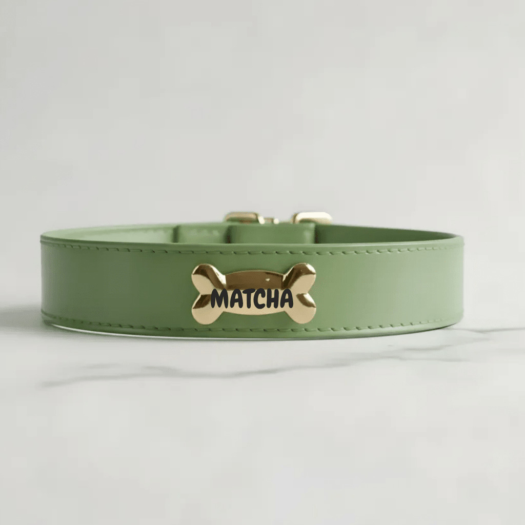 Matcha Dog Collar - PAW LONDON