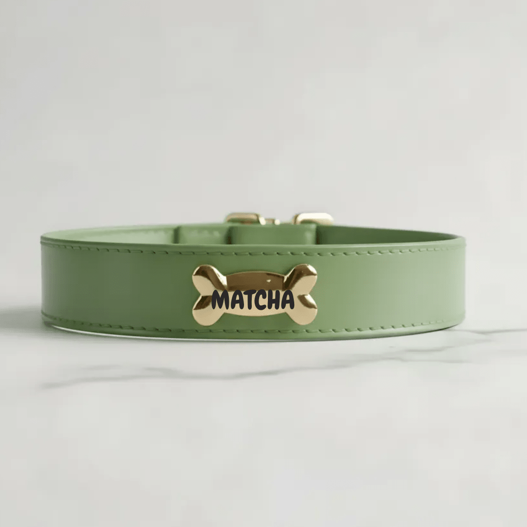 Matcha Dog Collar - PAW LONDON