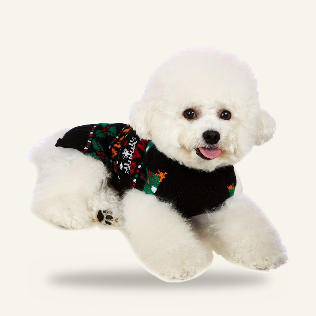 Dog wearing the black Merry Christmas jumper, front view