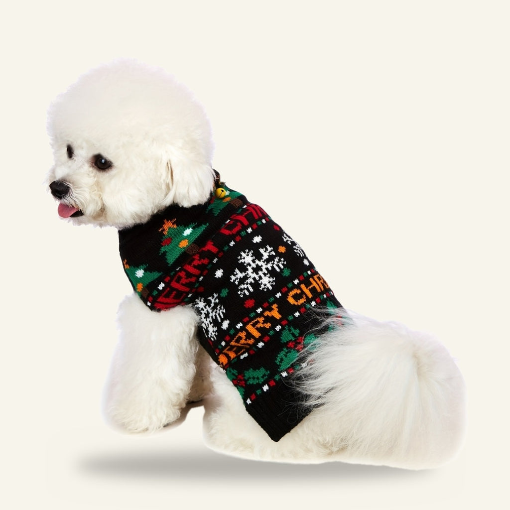 Dog wearing the black Merry Christmas jumper