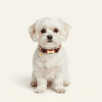 Minnie Dog Collar 🎈 - PAW LONDON
