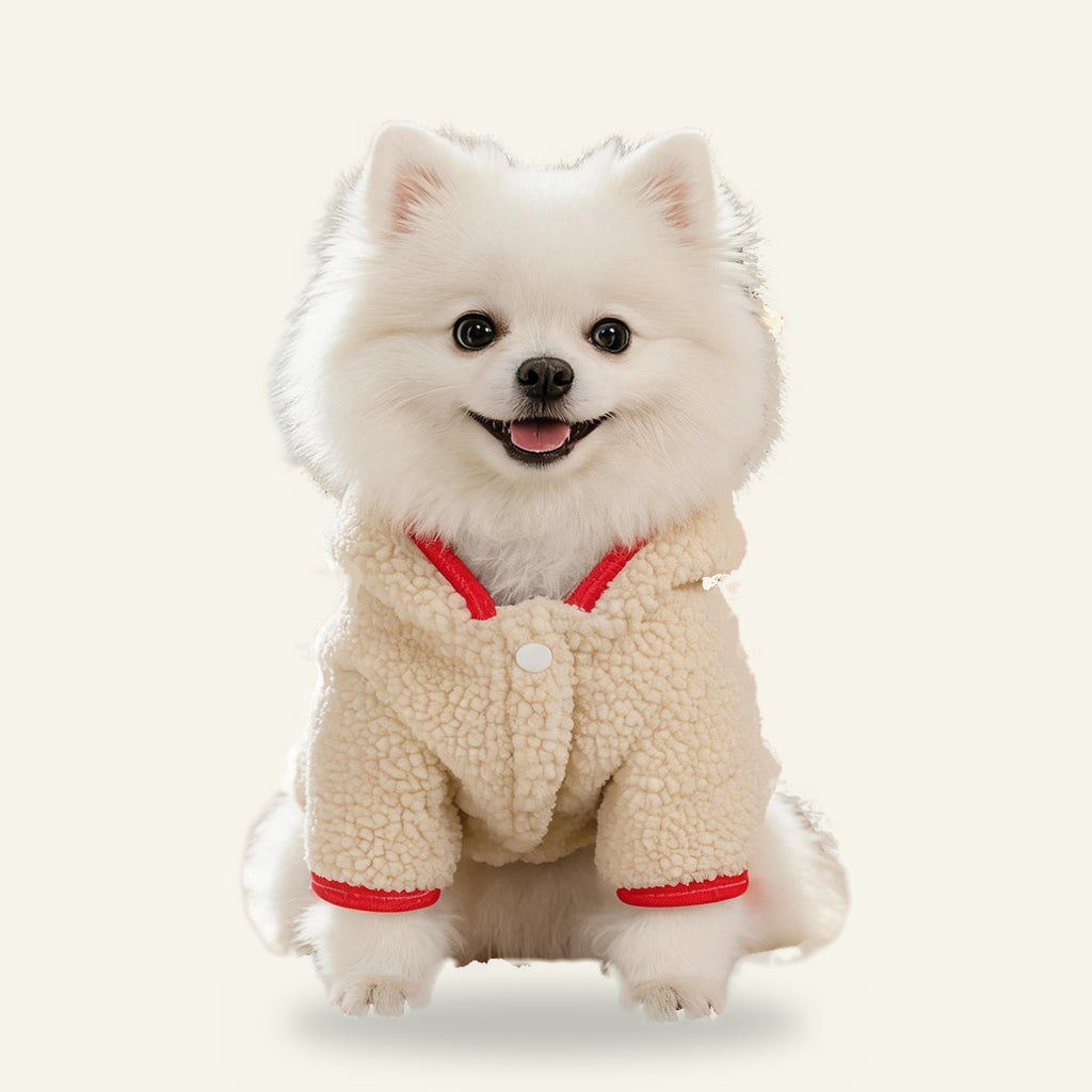 Pomeranian wearing the My First Christmas dog hoodie