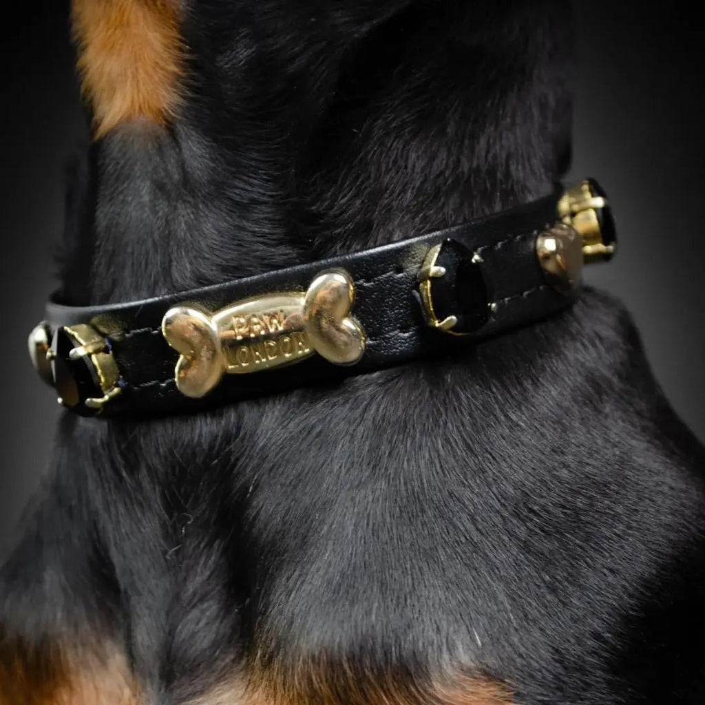 Noho Black Swarovski Dog Collar 💎 - PAW LONDON