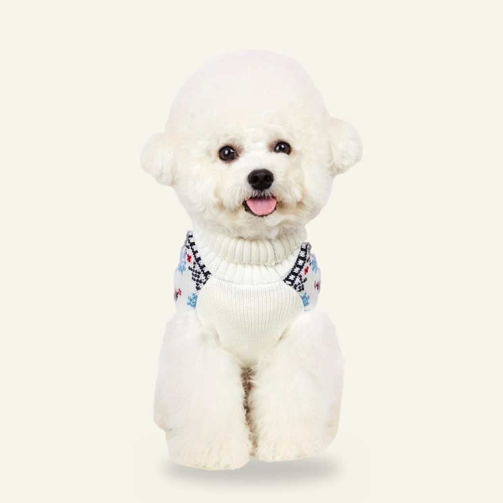 Dog wearing the Nordic reindeer jumper, front view
