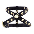 Pawlentino Rockstud Black Dog Harness 🪨 - PAW LONDON