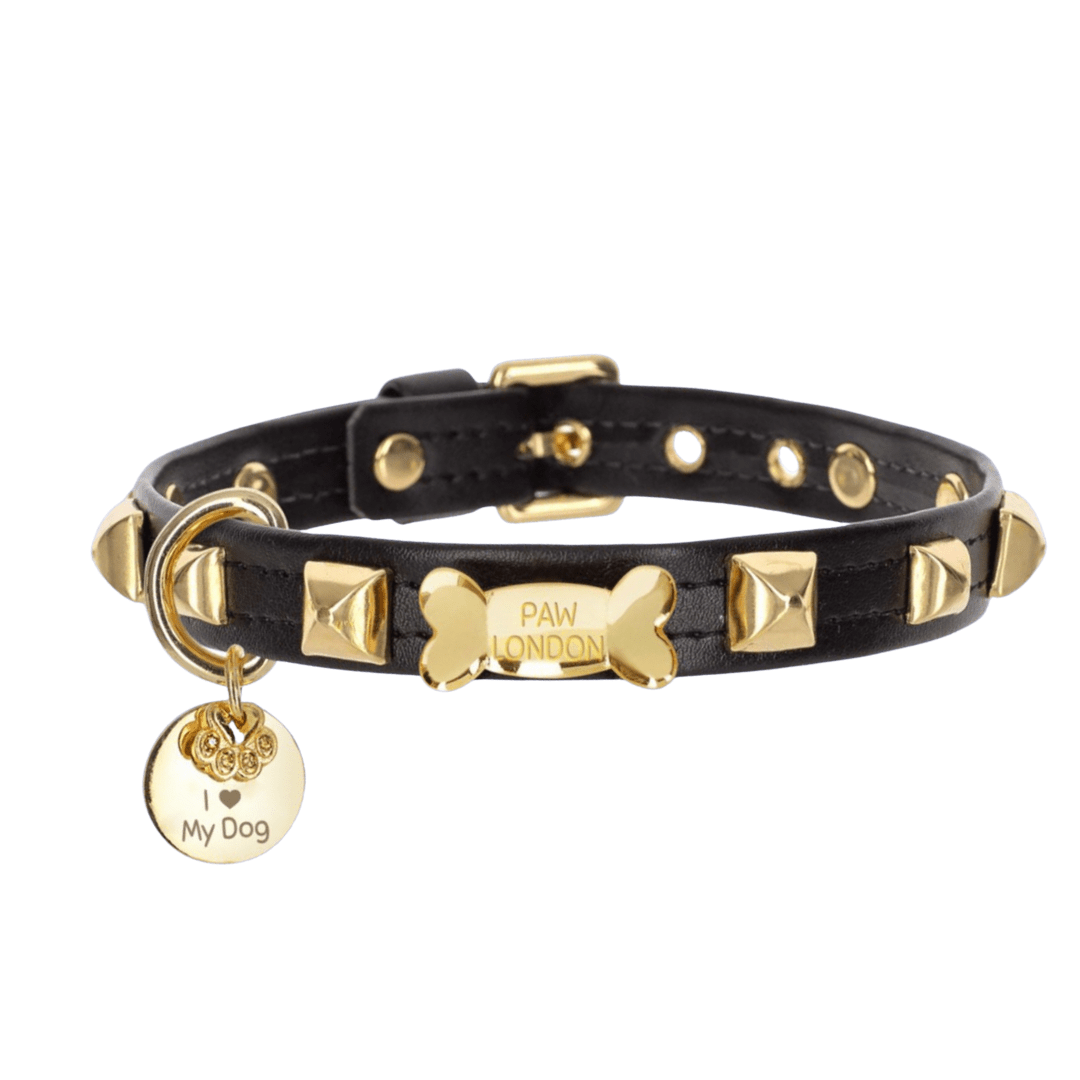 Pawlentino Rockstud Dog Collar | Gold on Black 🪨 - PAW LONDON