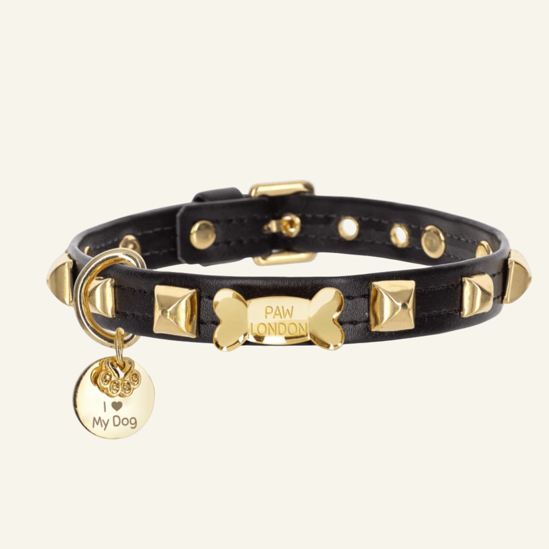 Pawlentino Rockstud Dog Collar | Gold on Black 🪨 - PAW LONDON