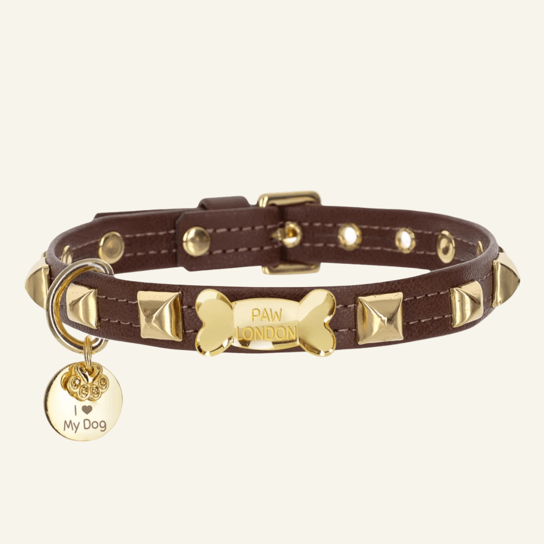 Pawlentino Rockstud Dog Collar | Gold on Brown 🪨 - PAW LONDON