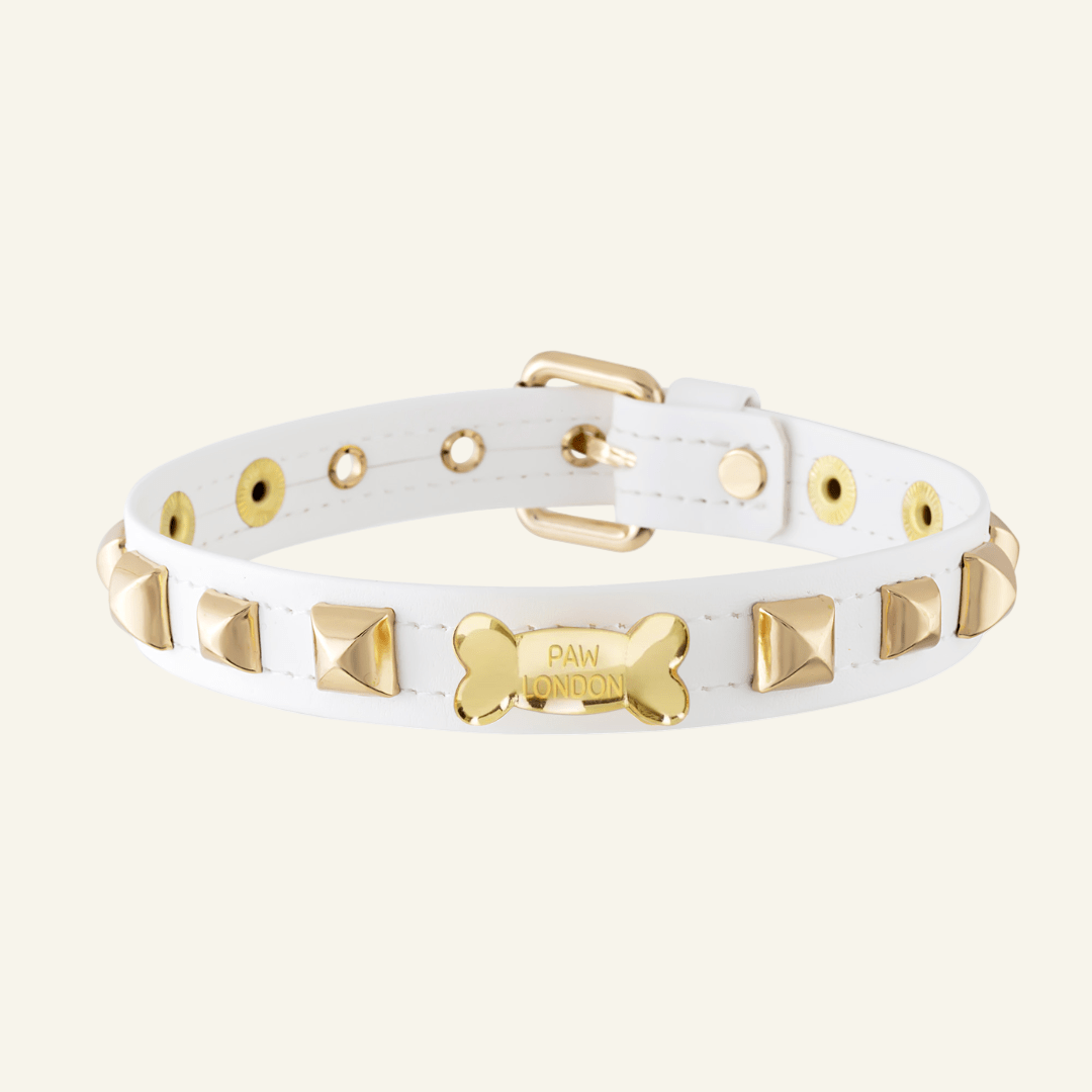 Pawlentino Rockstud Dog Collar | Gold on White 🪨 - PAW LONDON