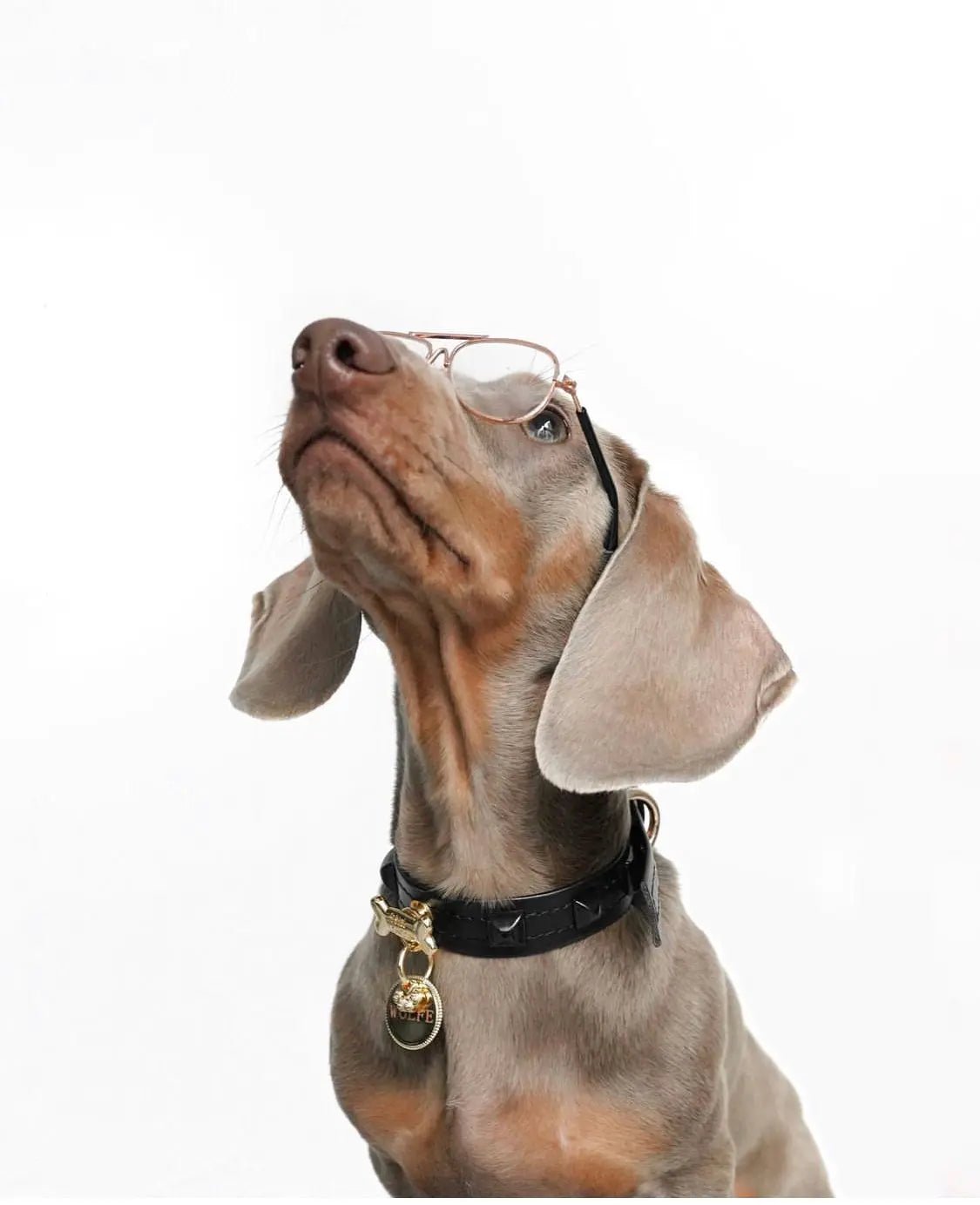 Pawlentino Rockstud Dog Collar | Red 🪨 - PAW LONDON