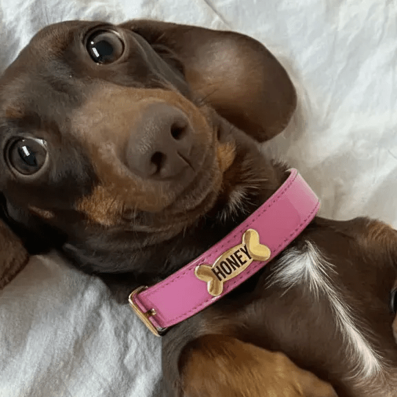 Peony Dog Collar - PAW LONDON