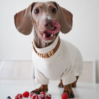 Personalised Collar | Write Your Pet's Name ★ - PAW LONDON