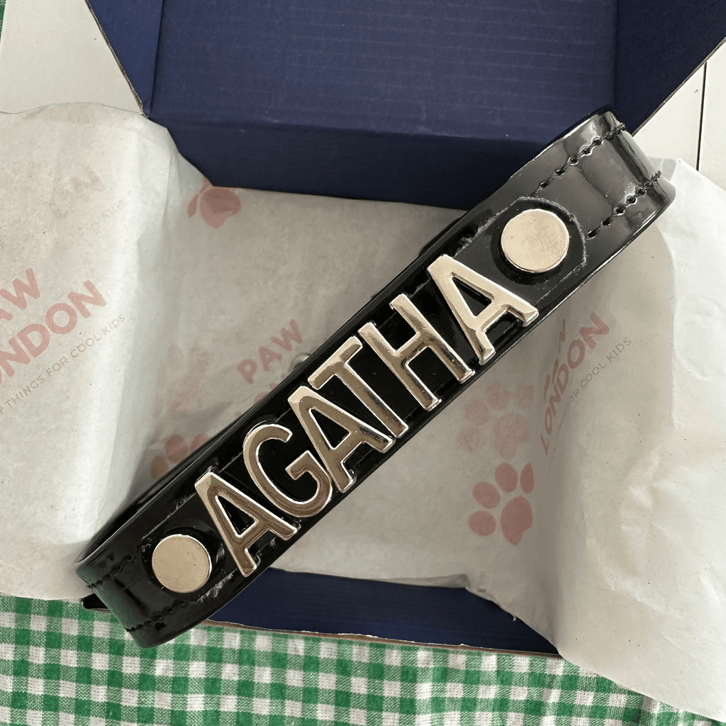 Personalised Collar | Write Your Pet's Name ★ - PAW LONDON
