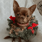 Personalised Collar | Write Your Pet's Name ★ - PAW LONDON