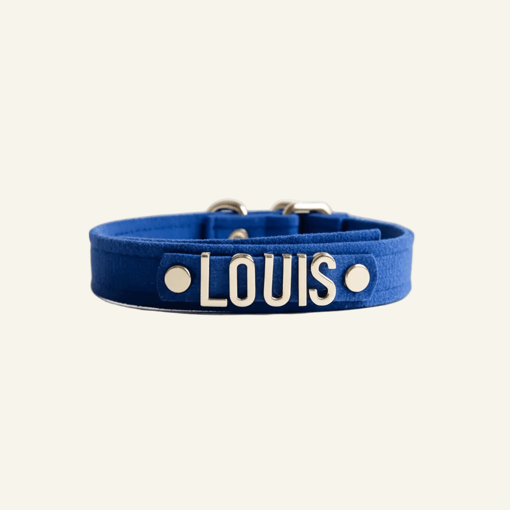 Personalised Collar | Write Your Pet's Name ★ - PAW LONDON