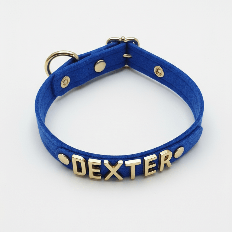 Personalised Collar | Write Your Pet's Name ★ - PAW LONDON