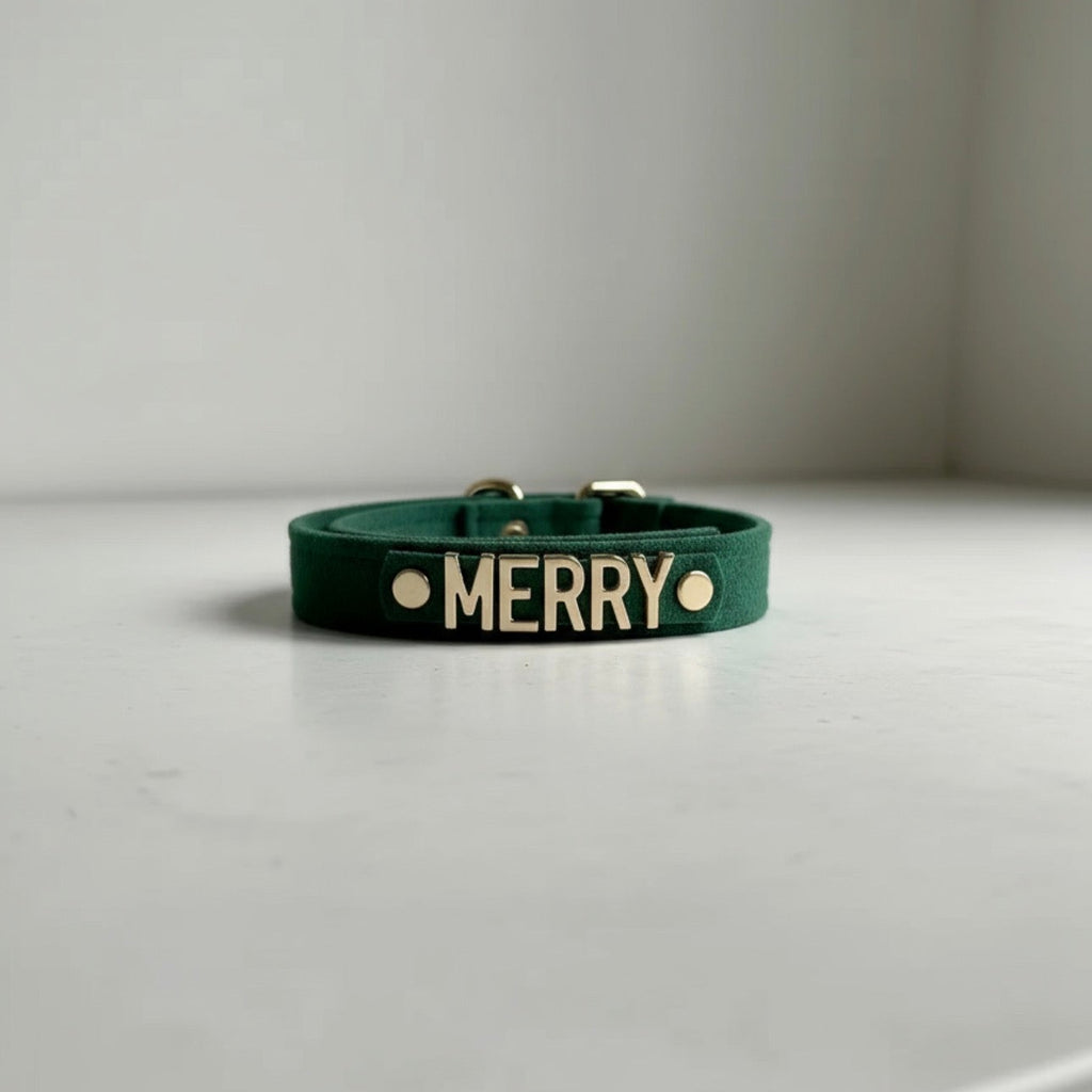 Personalised Collar | Write Your Pet's Name ★ - PAW LONDON