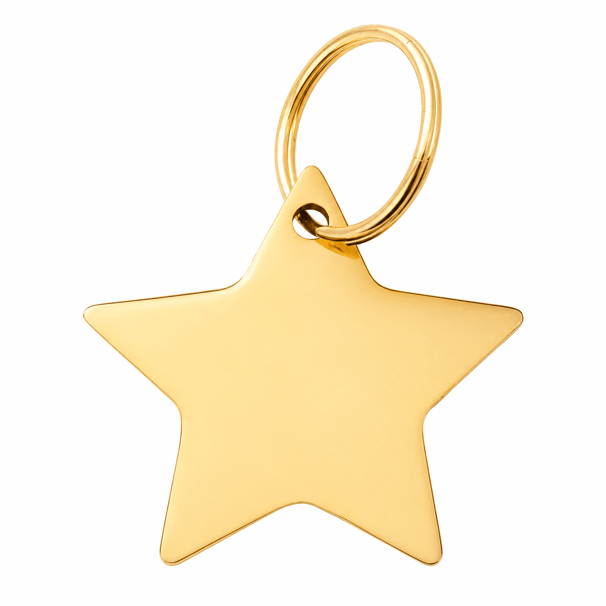 Personalised Pet ID Tag - PAW LONDON