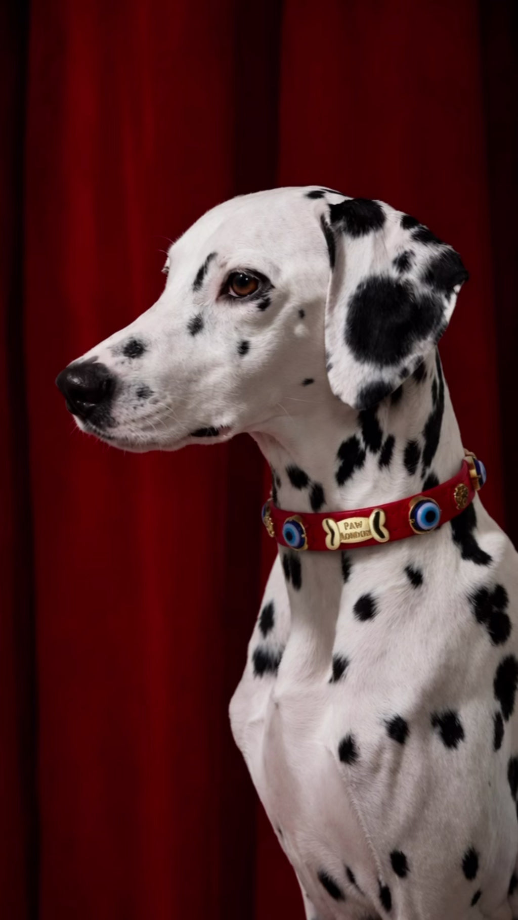 Halsband mit Bösem-Blick-Symbol für Hunde, Rot 🪬.