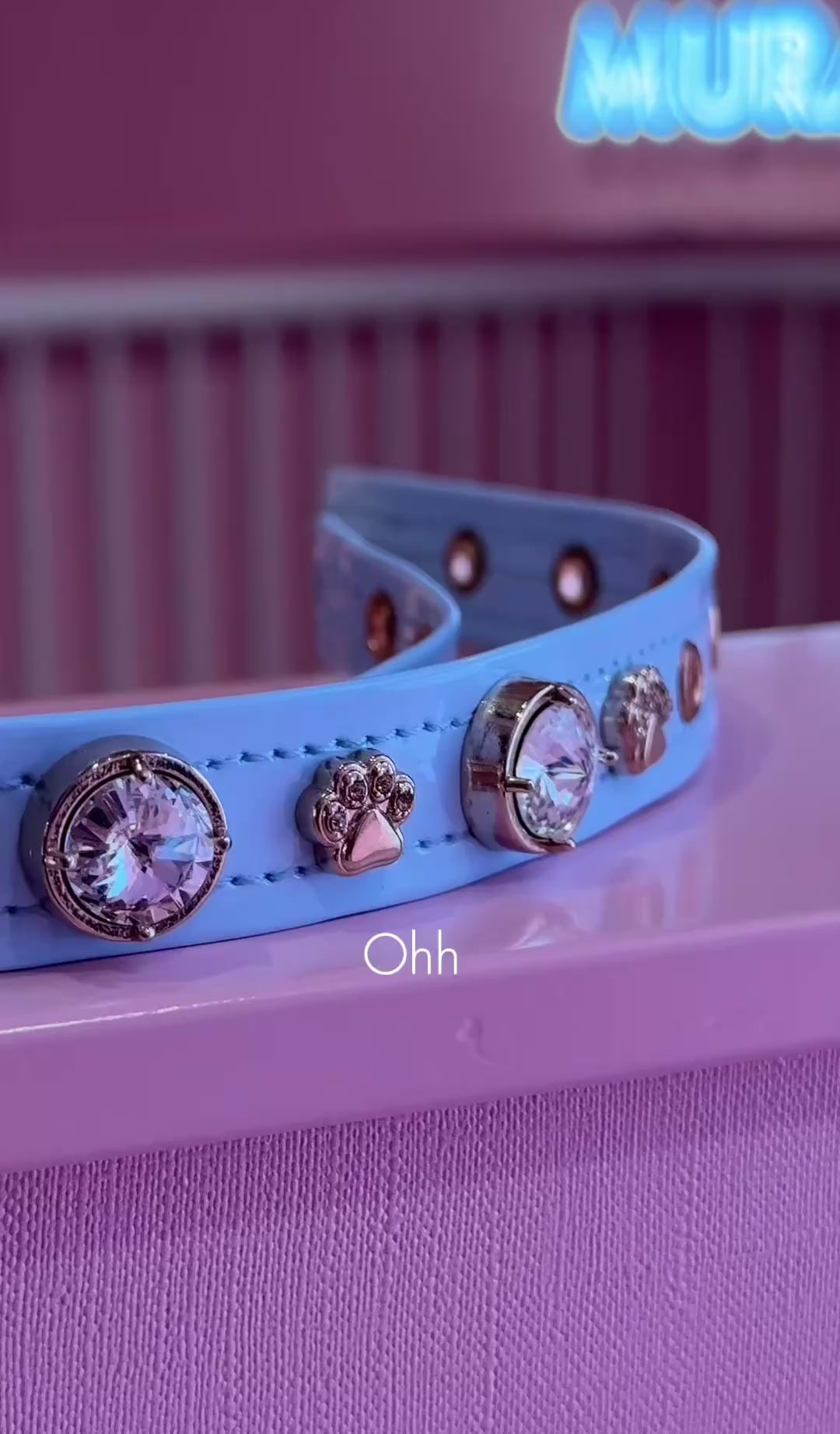 Louis Swarovski®  Baby Blue Dog Collar 💎