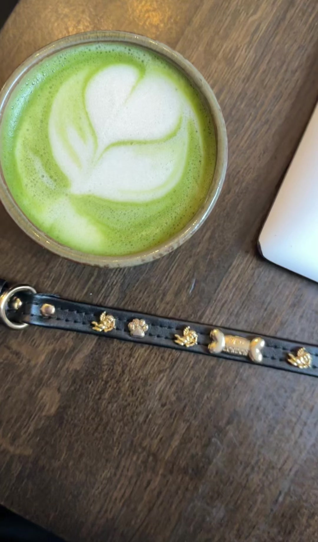 Cupid Gold Hundehalsband 🏹 | SCHWARZ