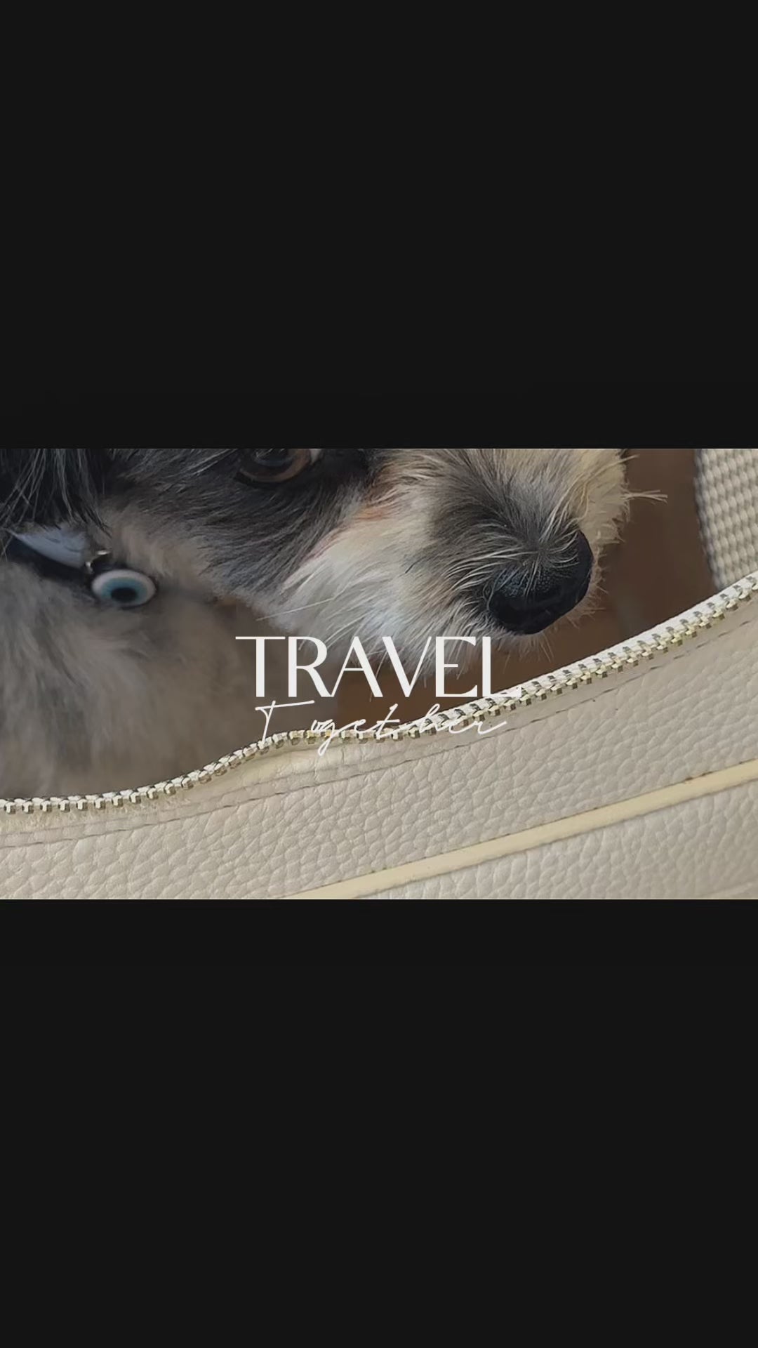 TSA Approved Pet Carrier