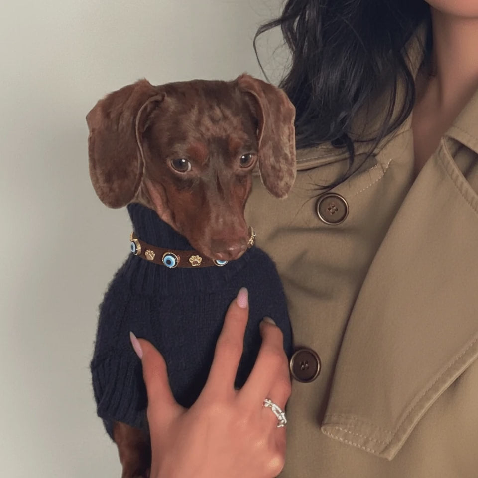 Suede Evil Eye Dog Collar | Royal Blue