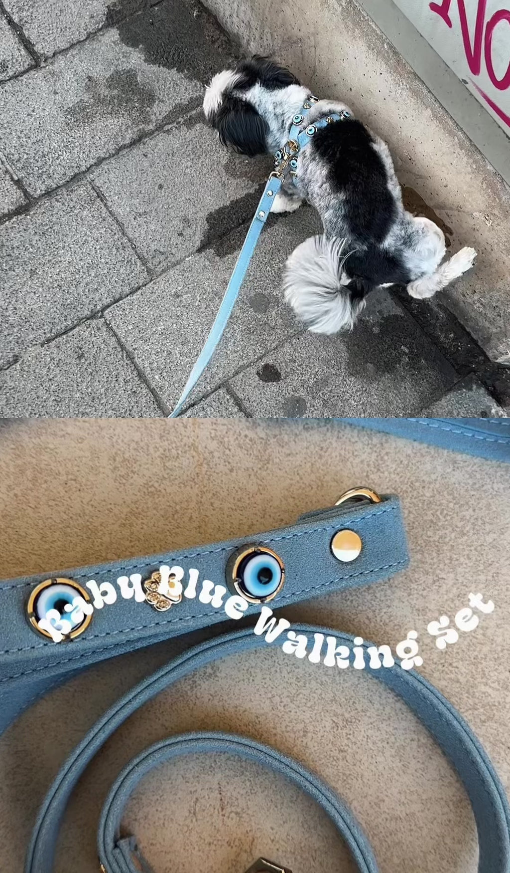 Suede Evil Eye Dog Harness | Azure Blue ⚜️