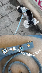 Suede Evil Eye Dog Harness | Azure Blue ⚜️