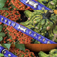 Halloween Purple Dog Collar with Gold Plated Skulls 🎃
