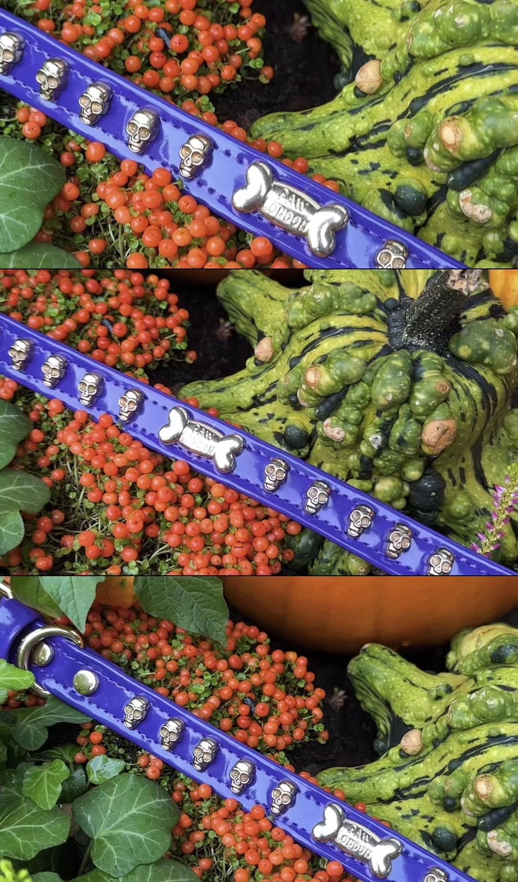 Lila Hundehalsband mit Halloween-Motiv und vergoldeten Totenköpfen 🎃