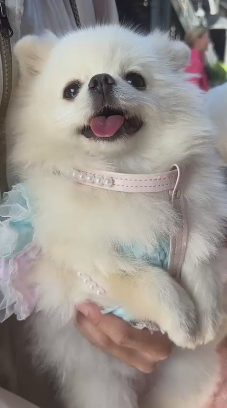 Diana Pearl Dog Harness | Pink