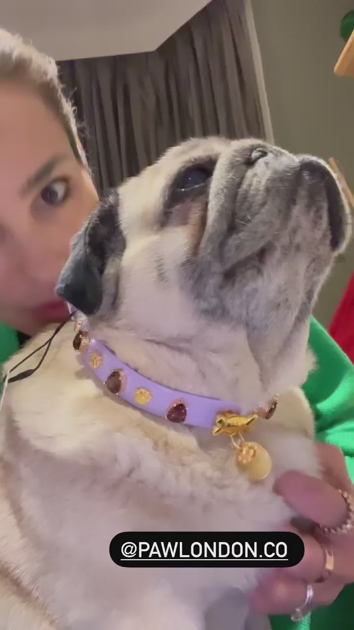 Lily Purple Swarovski Dog Collar 💎