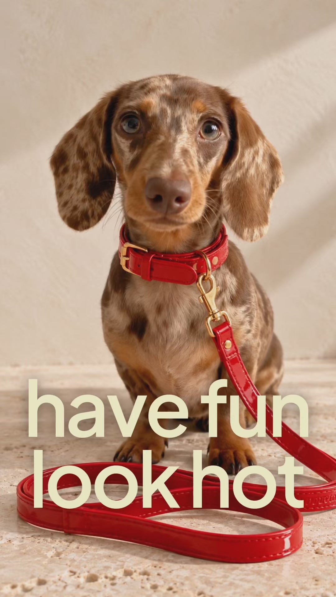 Basic Light Dog Collar | Red Glossy