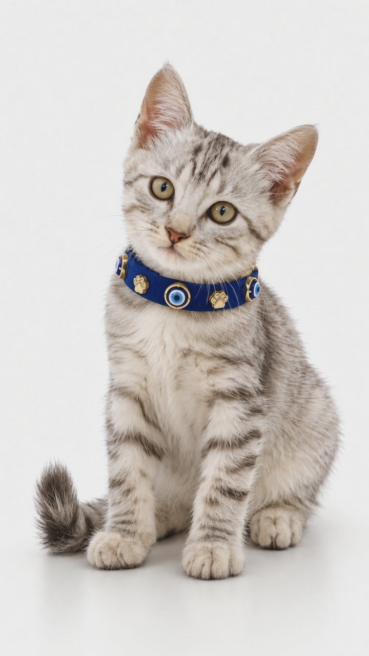 Suede Evil Eye Cat Collar | Royal Blue