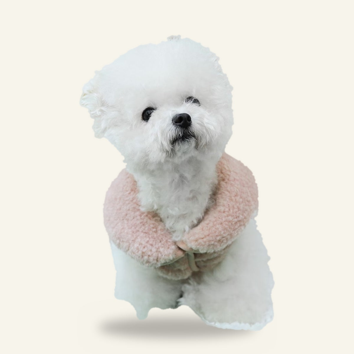 Dog wearing the pink reindeer vest, front view