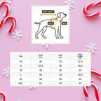 Rudolph Christmas Dog Sweater - PAW LONDON