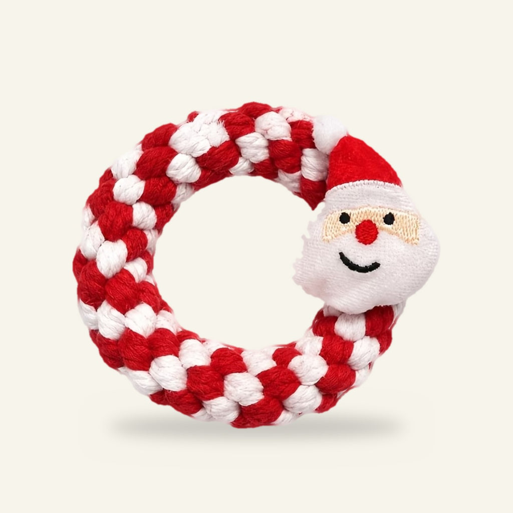 Santa rope ring dog toy