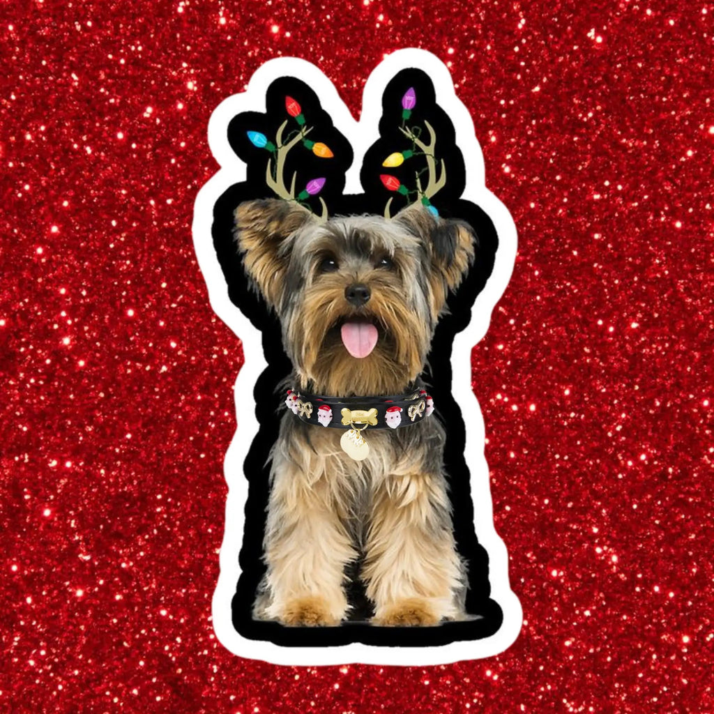 Santa Xmas Christmas Dog Collar | Black - PAW LONDON