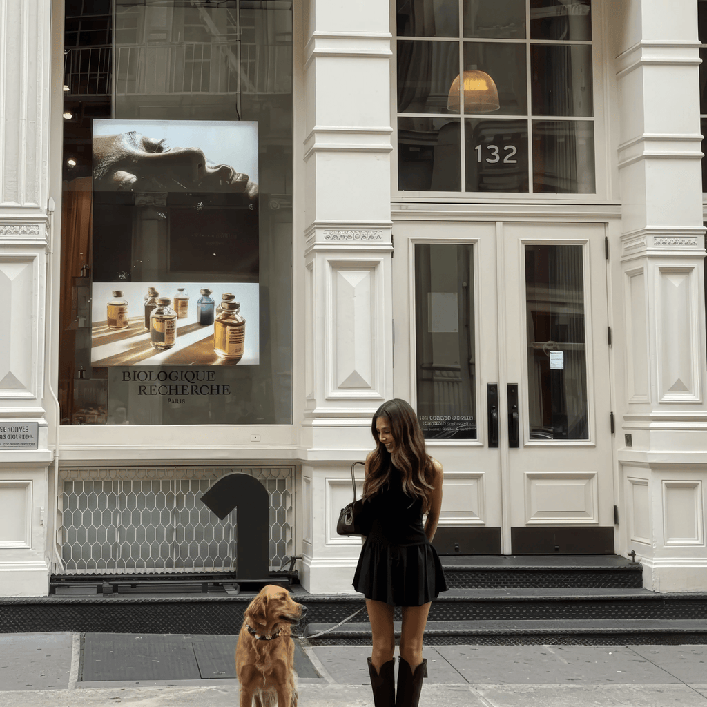 Santa Xmas Christmas Dog Collar | Black - PAW LONDON