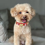 Santa Xmas Christmas Dog Collar | Red 🎄 - PAW LONDON