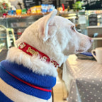 Santa Xmas Christmas Dog Collar | Red 🎄 - PAW LONDON