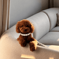 Shelly Pearl Dog Collar 🦪 - PAW LONDON