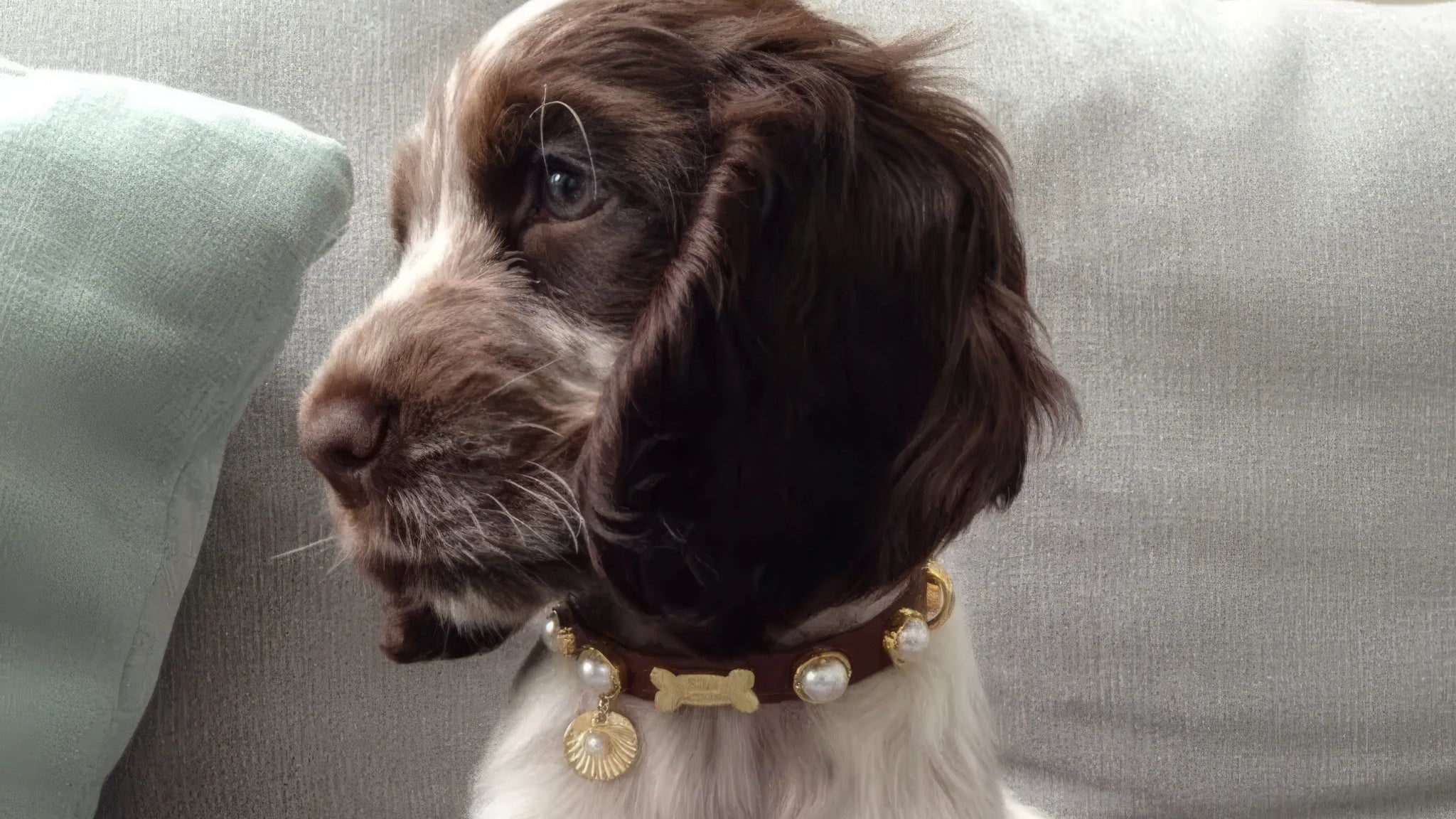 Shelly Pearl Dog Collar | Brown 🦪 - PAW LONDON