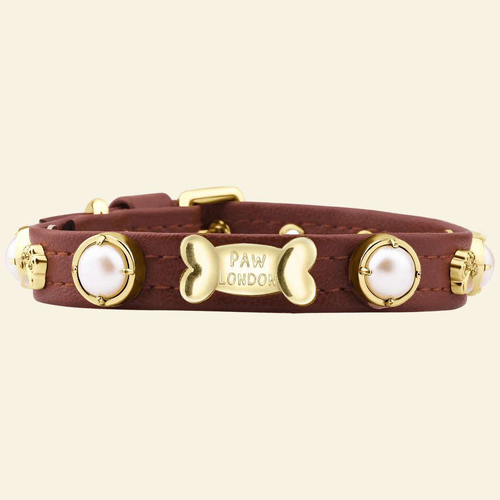 Shelly Pearl Dog Collar | Brown 🦪 - PAW LONDON
