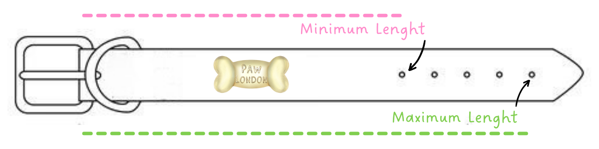 a diagram of a dog wearing a collar