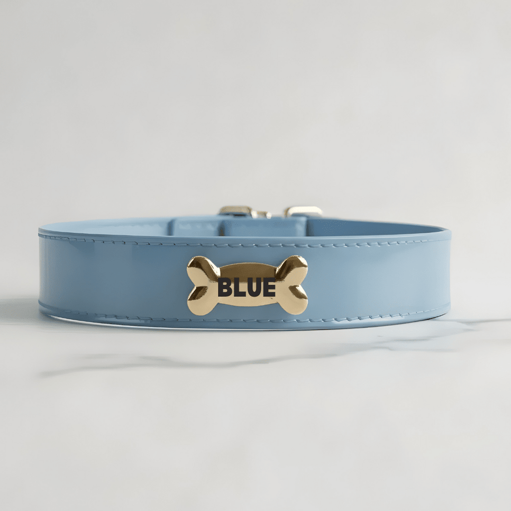 Sky Dog Collar - PAW LONDON