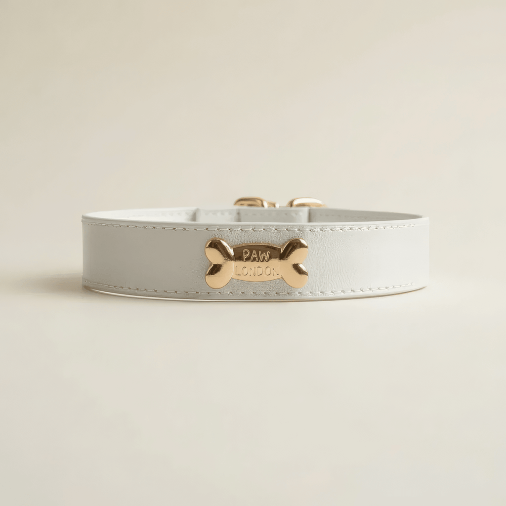 Snow Dog Collar - PAW LONDON